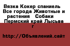 Вязка Кокер спаниель - Все города Животные и растения » Собаки   . Пермский край,Лысьва г.